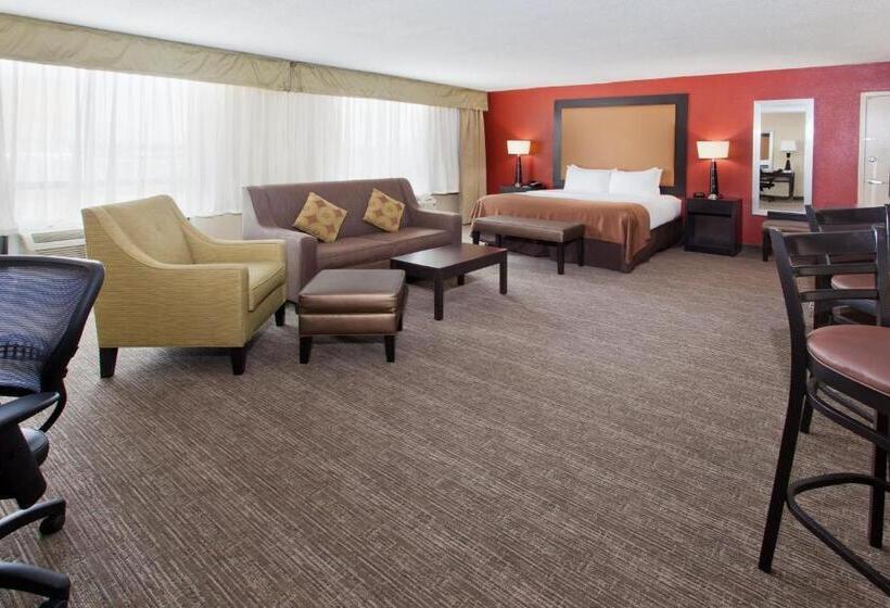 스위트 킹사이즈 침대, Holiday Inn Shreveport Downtown, An Ihg