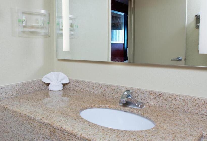 سوئیت با تخت بزرگ, Holiday Inn Shreveport Downtown, An Ihg