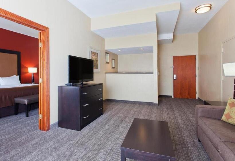 سوئیت اجرایی با تخت کینگ, Holiday Inn Shreveport Downtown, An Ihg