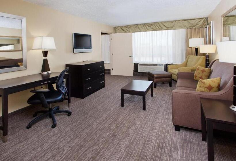 سوئیت اجرایی با تخت کینگ, Holiday Inn Shreveport Downtown, An Ihg