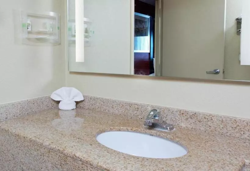 اتاق استاندارد, Holiday Inn Shreveport Downtown, An Ihg