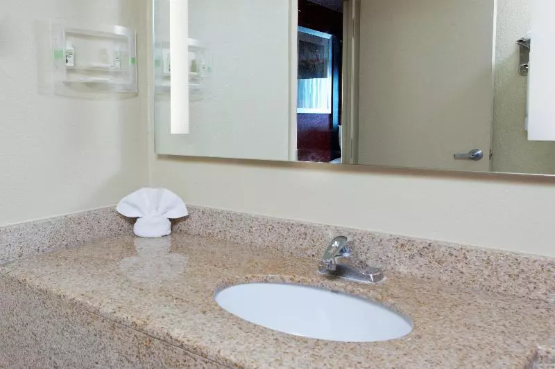 سوئیت با تخت بزرگ, Holiday Inn Shreveport Downtown, An Ihg