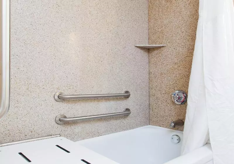 اتاق استاندارد با تخت بزرگ برای معلولان, Holiday Inn Shreveport Downtown, An Ihg