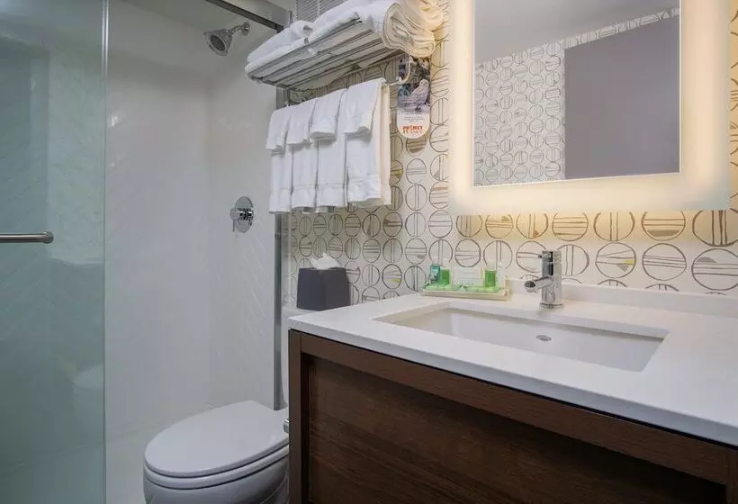 اتاق استاندارد, Holiday Inn Steamboat Springs, An Ihg