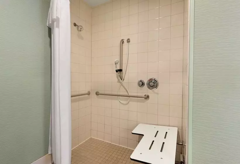 سوئیت برای معلولان, Homewood Suites By Hilton Grand Rapids