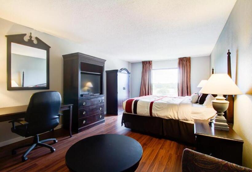 带大床的标准间, Olive Tree Hotel And Banquet Halls