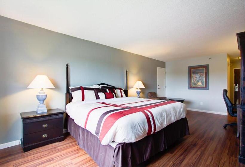 带大床的标准间, Olive Tree Hotel And Banquet Halls