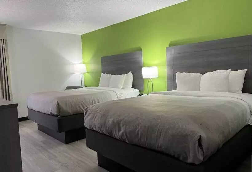 ２ダブルベッドのスタンダードルーム, Quality Inn Clarksville   Exit 11