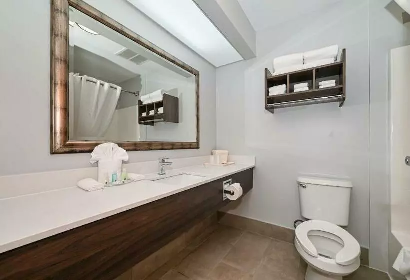 キングサイズベッドのスタンダードルーム, Quality Inn & Suites Matthews   Charlotte