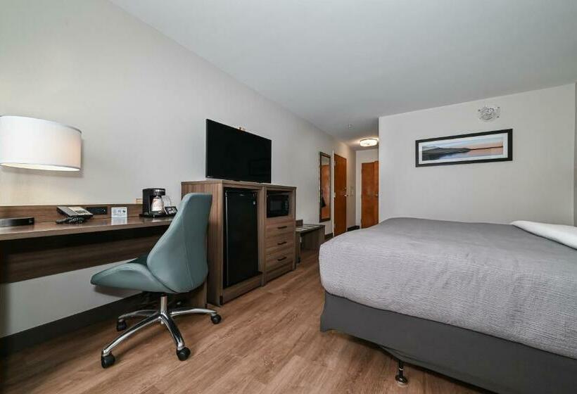 キングサイズベッドのスタンダードルーム, Quality Inn & Suites Matthews   Charlotte