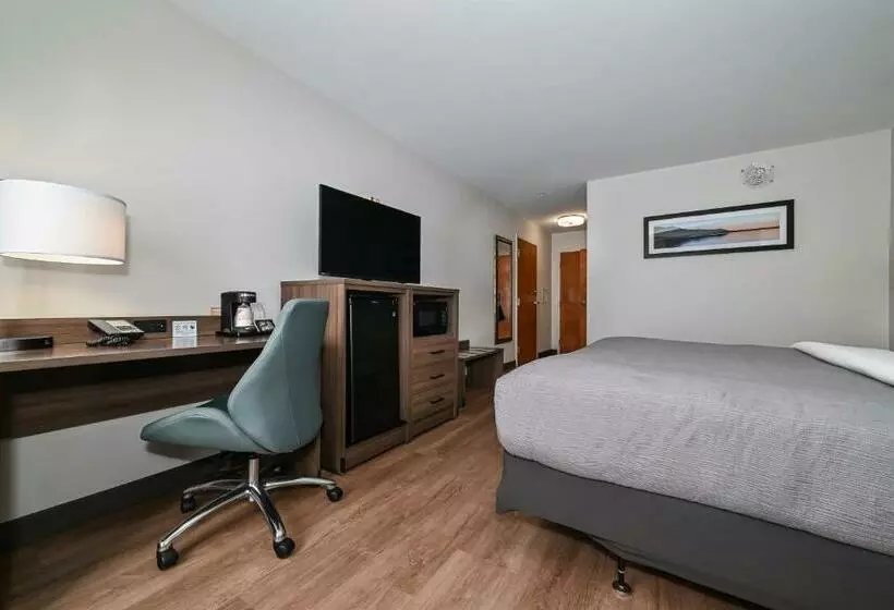 キングサイズベッドのスタンダードルーム, Quality Inn & Suites Matthews   Charlotte