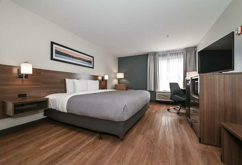 キングサイズベッドのスタンダードルーム, Quality Inn & Suites Matthews   Charlotte