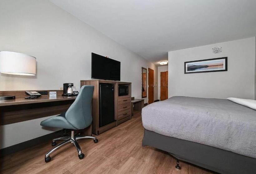 キングサイズベッドのスタンダードルーム, Quality Inn & Suites Matthews   Charlotte