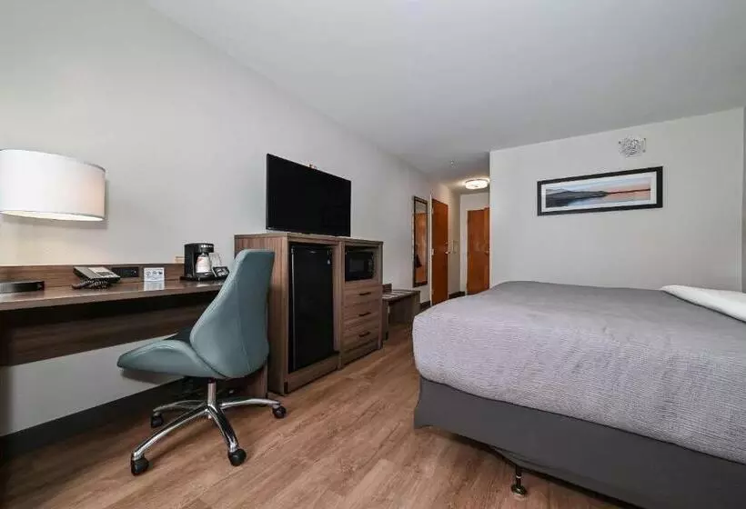 キングサイズベッドのスタンダードルーム, Quality Inn & Suites Matthews   Charlotte
