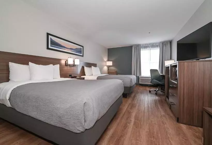 ２ダブルベッドのスタンダードルーム, Quality Inn & Suites Matthews   Charlotte