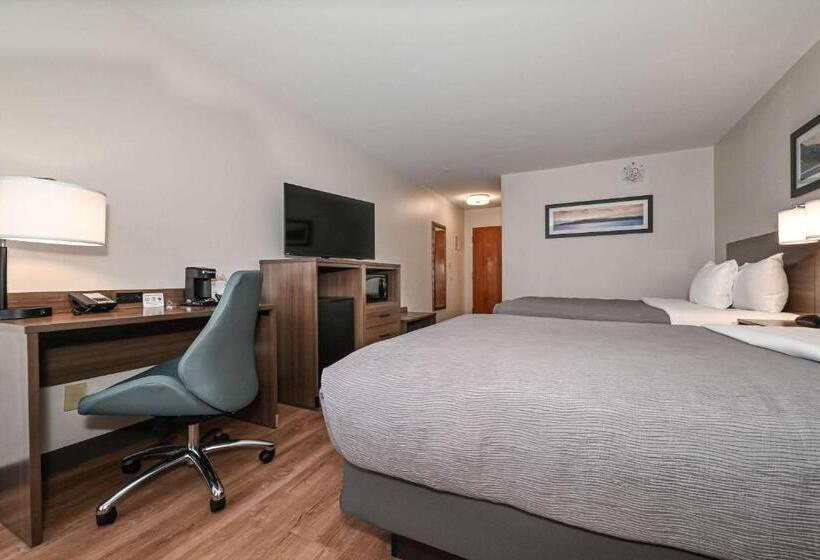 ２ダブルベッドのスタンダードルーム, Quality Inn & Suites Matthews   Charlotte