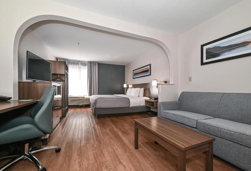 キングサイズベッドのスイートルーム, Quality Inn & Suites Matthews   Charlotte