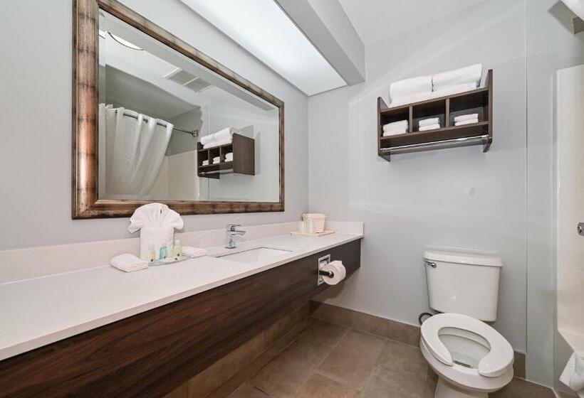 キングサイズベッドのスイートルーム, Quality Inn & Suites Matthews   Charlotte