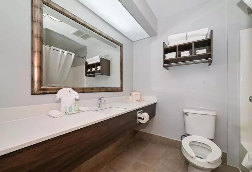 キングサイズベッドのスイートルーム, Quality Inn & Suites Matthews   Charlotte