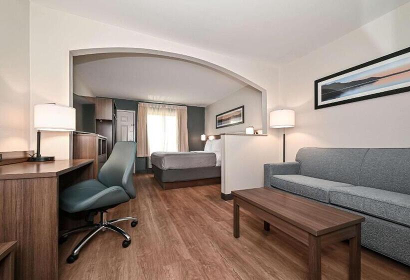 キングサイズベッドのスイートルーム, Quality Inn & Suites Matthews   Charlotte