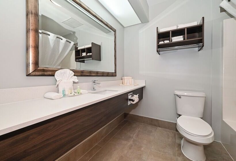 ２ダブルベッドのスタンダードルーム, Quality Inn & Suites Matthews   Charlotte