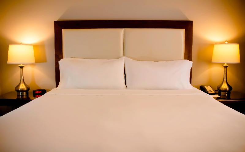 غرفة قياسية لذوى الاحتياجات الخاصة, Virginia Santa Barbara, Tapestry Collection By Hilton