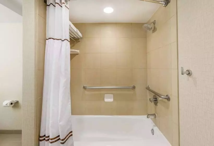 اتاق استاندارد با 2 تخت دوبل, Wyndham New Orleans  French Quarter