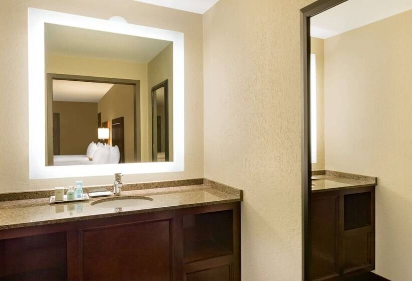 Номер Стандарт 2 Двуспальные Кровати, Wyndham New Orleans  French Quarter