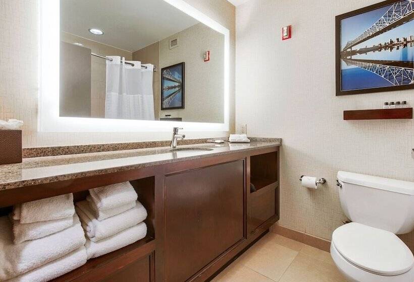 اتاق لوکس, Wyndham New Orleans  French Quarter