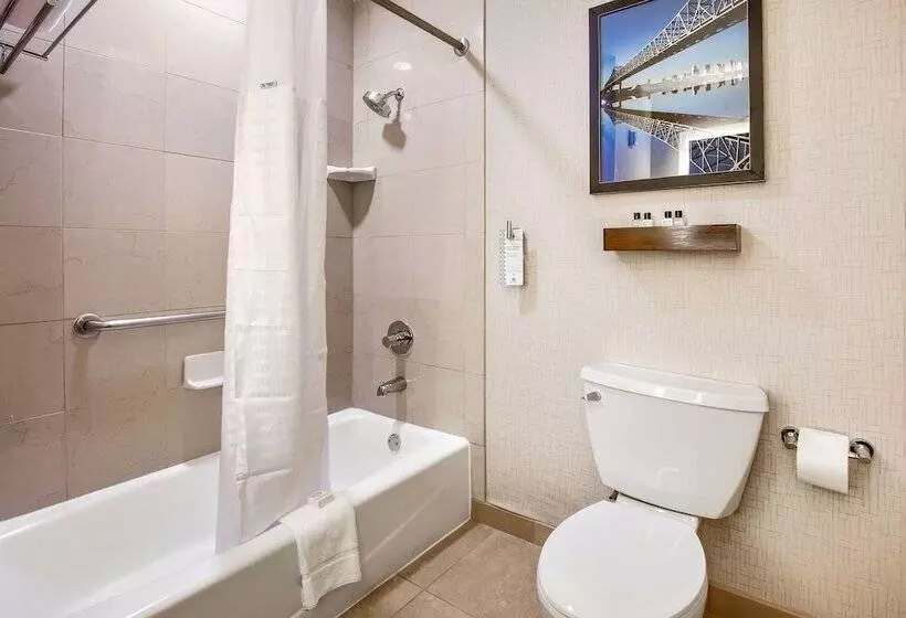 اتاق لوکس, Wyndham New Orleans  French Quarter