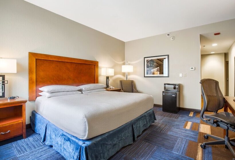 اتاق لوکس, Wyndham New Orleans  French Quarter