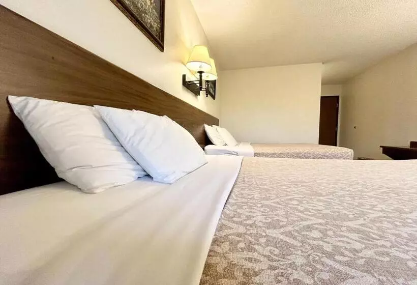 اتاق استاندارد, Homestead Inn Wolf Point Hwy 2