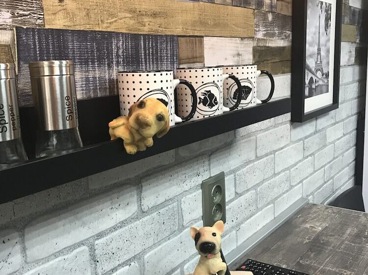 ベーシックルーム, Horoshy Hostel