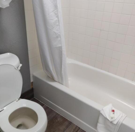 豪华三人间, Cedar Cove