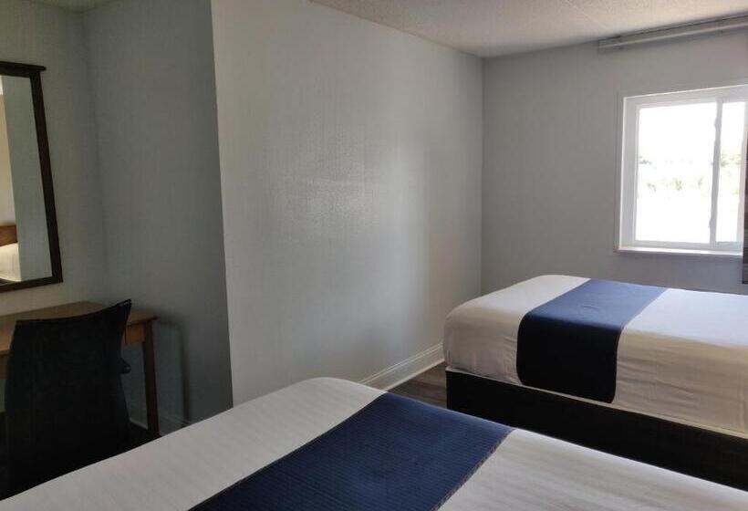 标准间, Cedar Cove