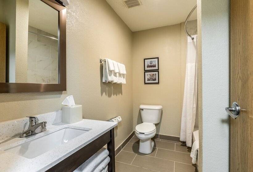 带2个双人床的标准工作室, Comfort Inn Downtown