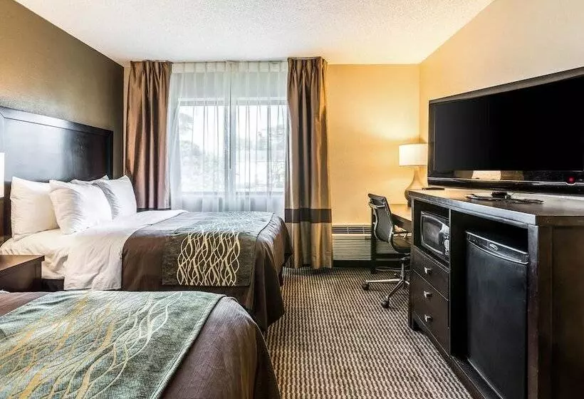 اتاق استاندارد با 2 تخت دوبل, Comfort Inn Downtown