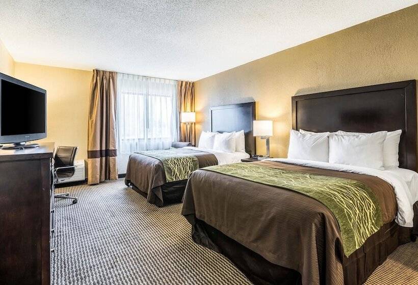 스탠다드 룸 더블 침대 2개, Comfort Inn Downtown