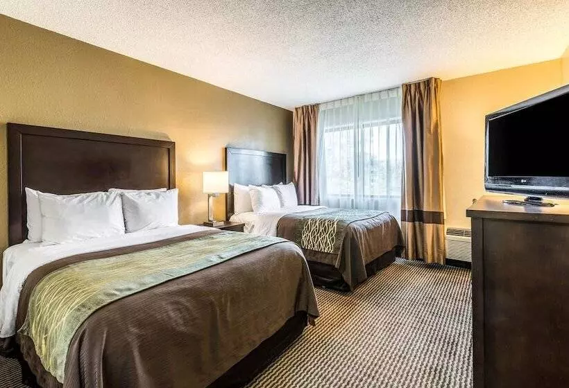 اتاق استاندارد با 2 تخت دوبل, Comfort Inn Downtown