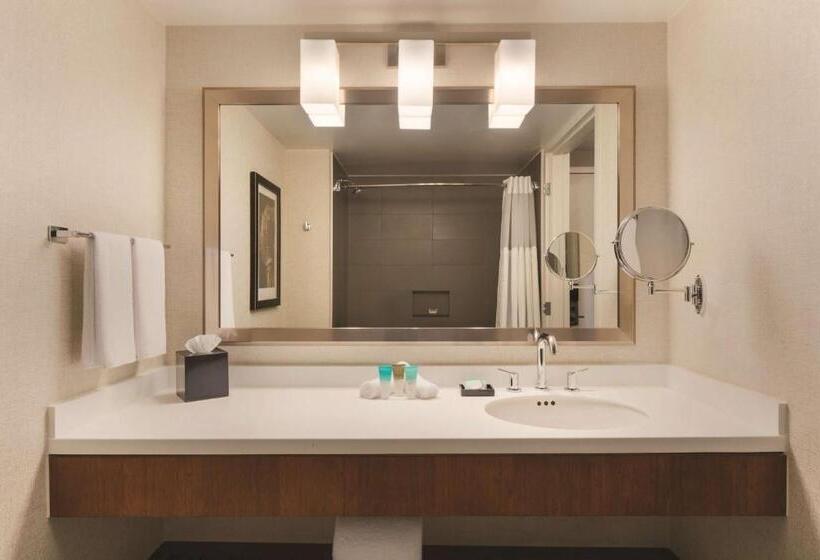 스탠다드 룸, Hyatt Regency Wichita