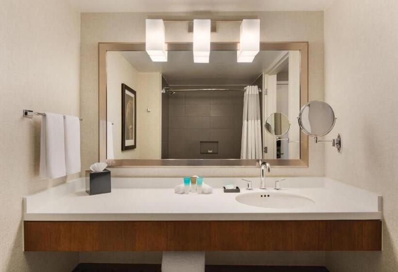 带2个双人床的标准工作室, Hyatt Regency Wichita