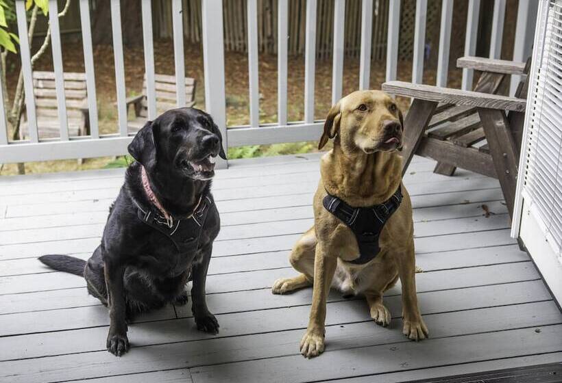 침실 2개 주택, Inn At Schoolhouse Creek