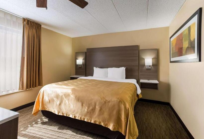 Suite Cama King, Quality Suites Milwaukee Airport