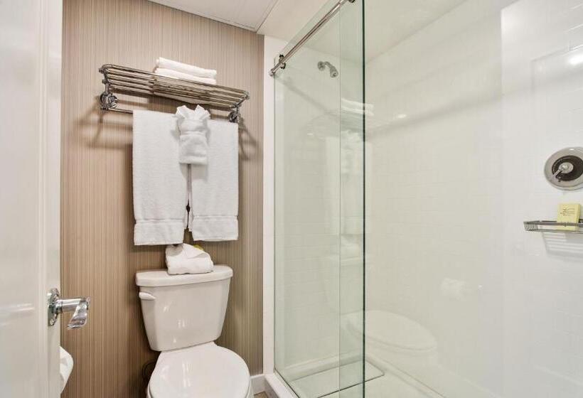 Номер Deluxe Кровать Кинг, St. Marie