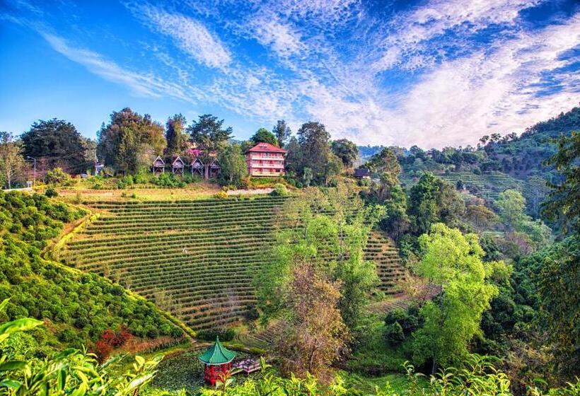 スーペリアールーム, เลาลีฮิลล์รีสอร์ท Laulee Hill Resort