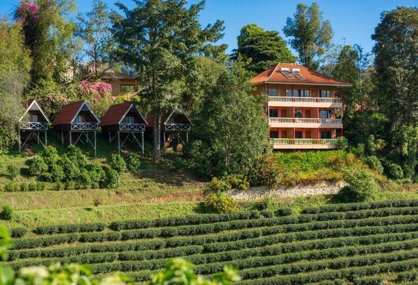 スーペリアールーム, เลาลีฮิลล์รีสอร์ท Laulee Hill Resort