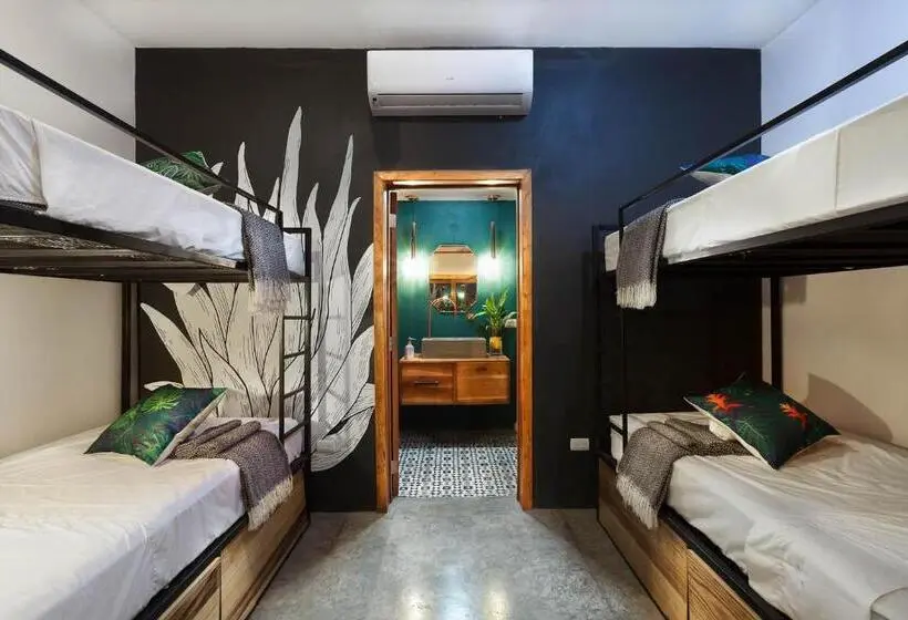 ルームシェアのワンベッド, The Space Jungle Oasis