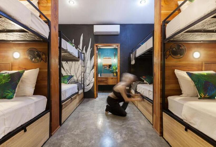 מיטה בחדר משותף, The Space Jungle Oasis