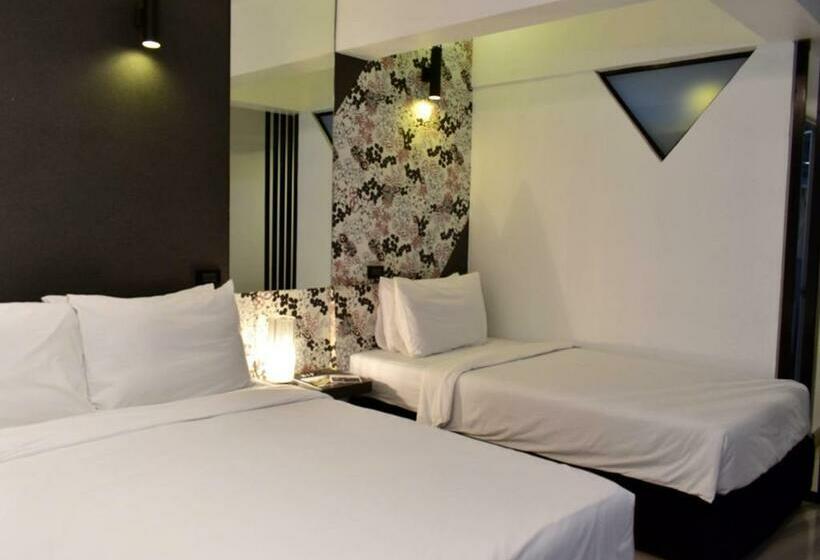 标准三人间, Loyy