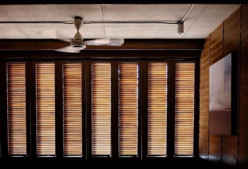 标准三人间, Loyy